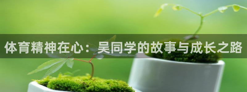 劲爆体育 官网