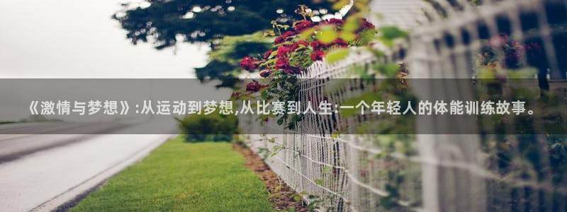 劲爆体育f1集锦背景音乐：《激情与梦想》:从运动到梦想,从比赛到人生:一个年轻人的体能训练故事。